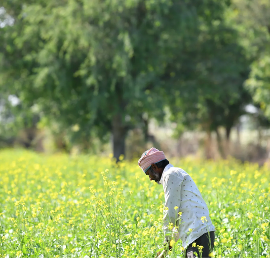 Dirt Matters: Why Healthy Soil Leads to Healthy Food?