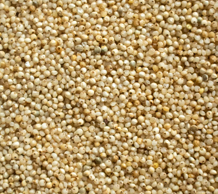 Barnyard Millet