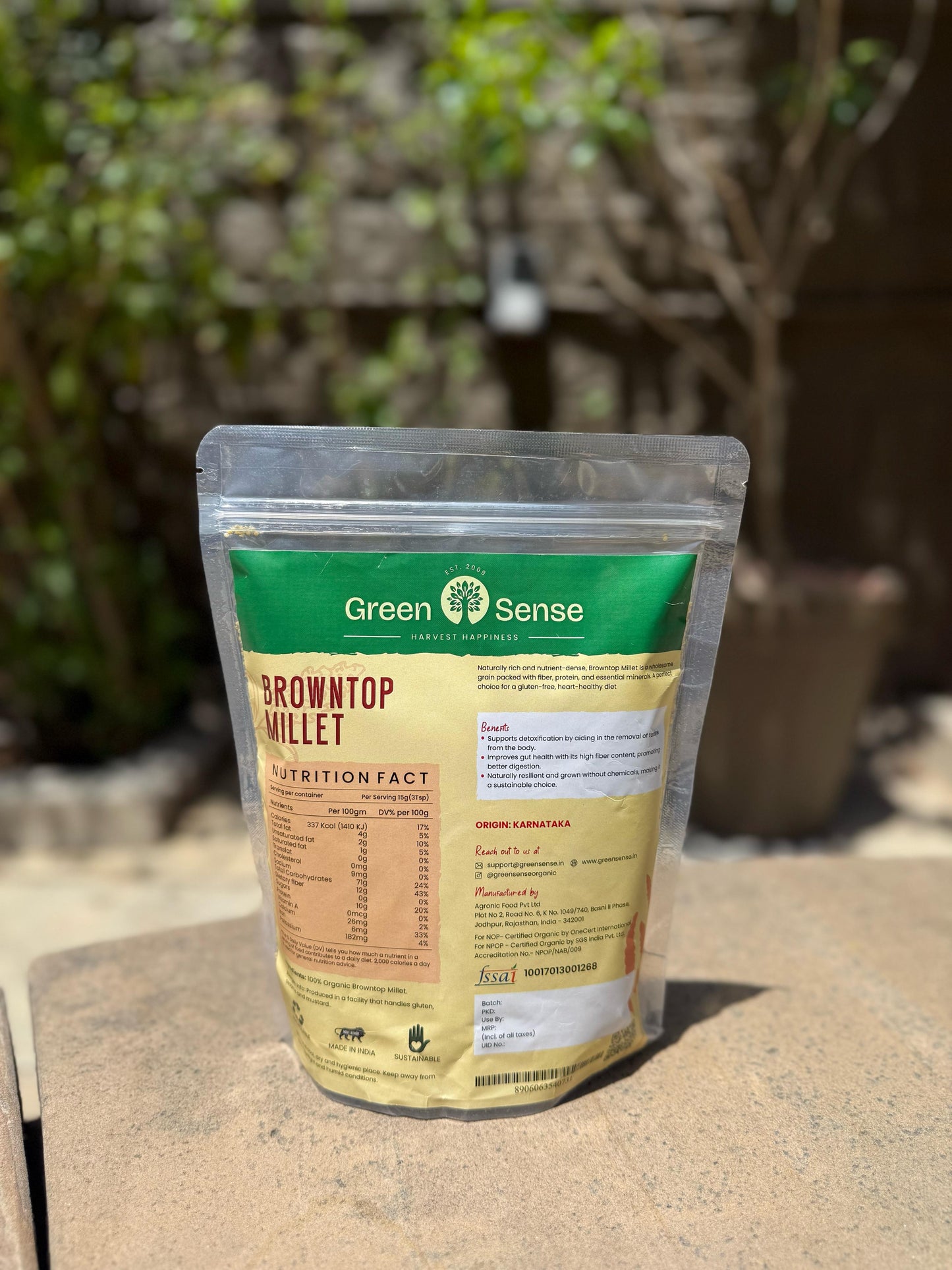 Browntop Millet