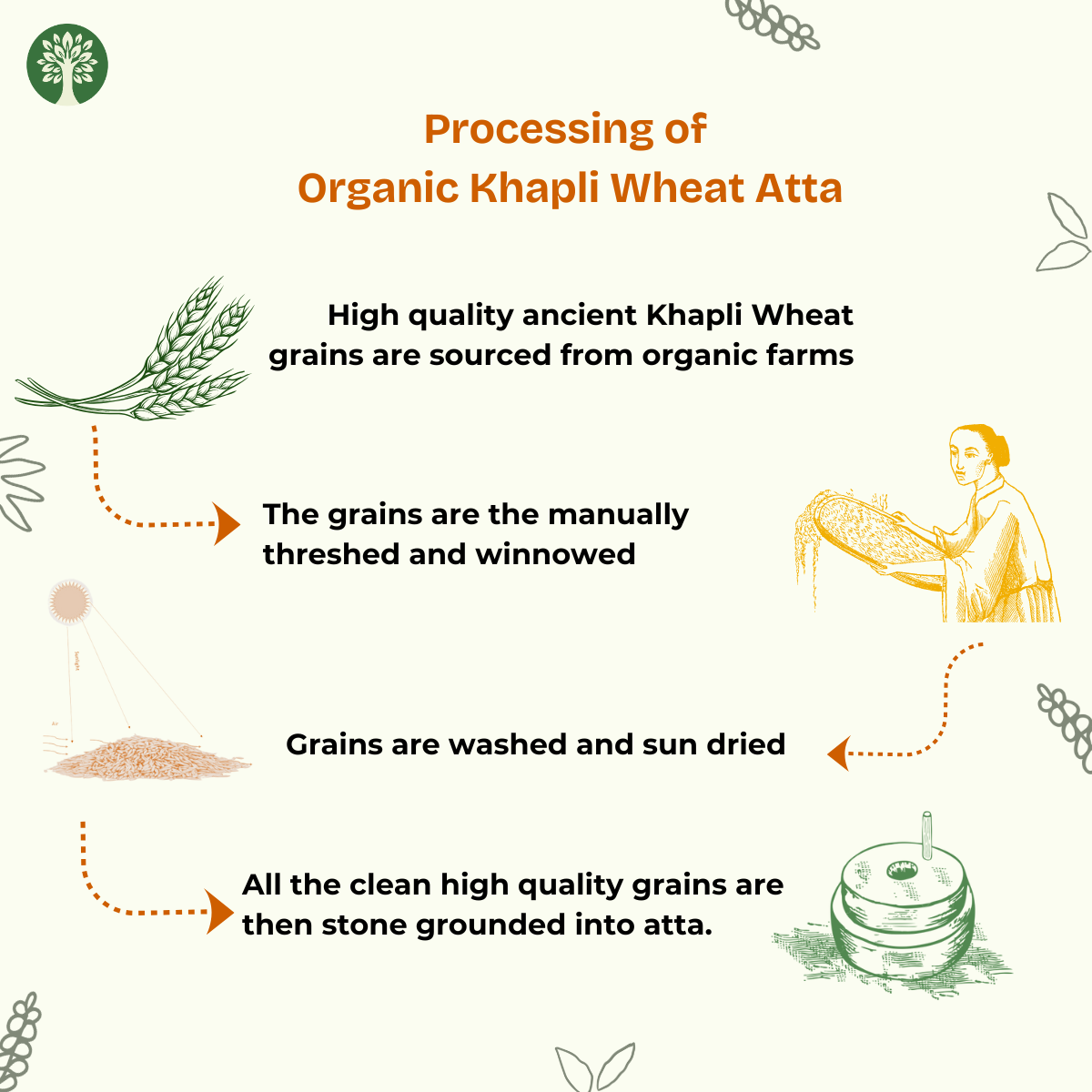 Khapli Wheat Atta (Organic)