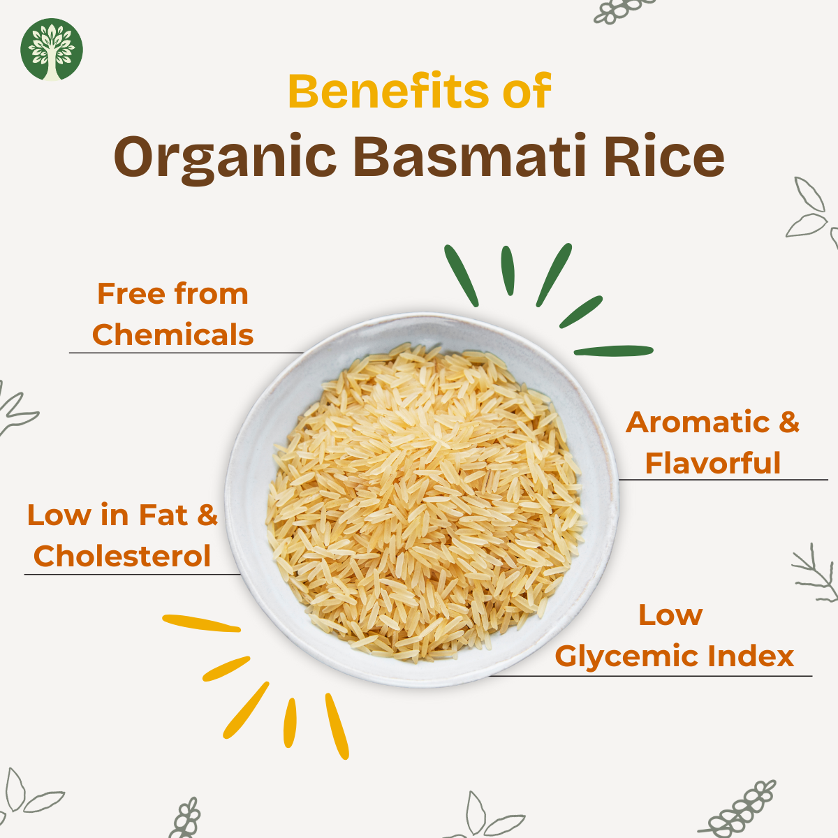 Basmati Rice (Organic)