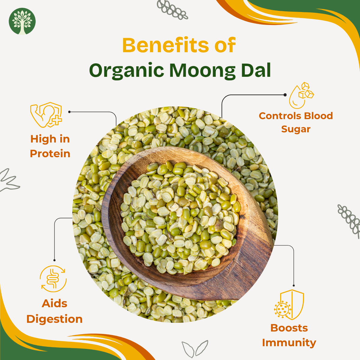 Moong Dal (Organic)