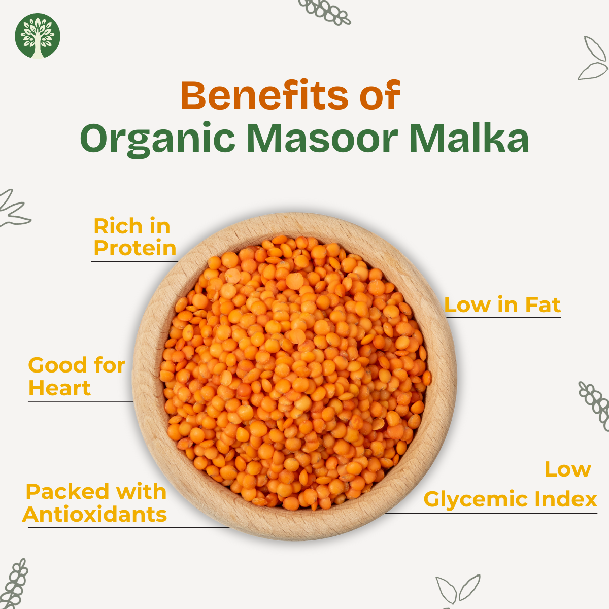 Masoor Malka (Organic)