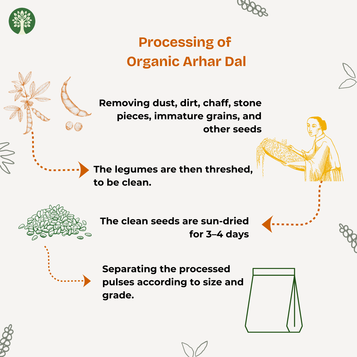 Arhar Dal (Organic)