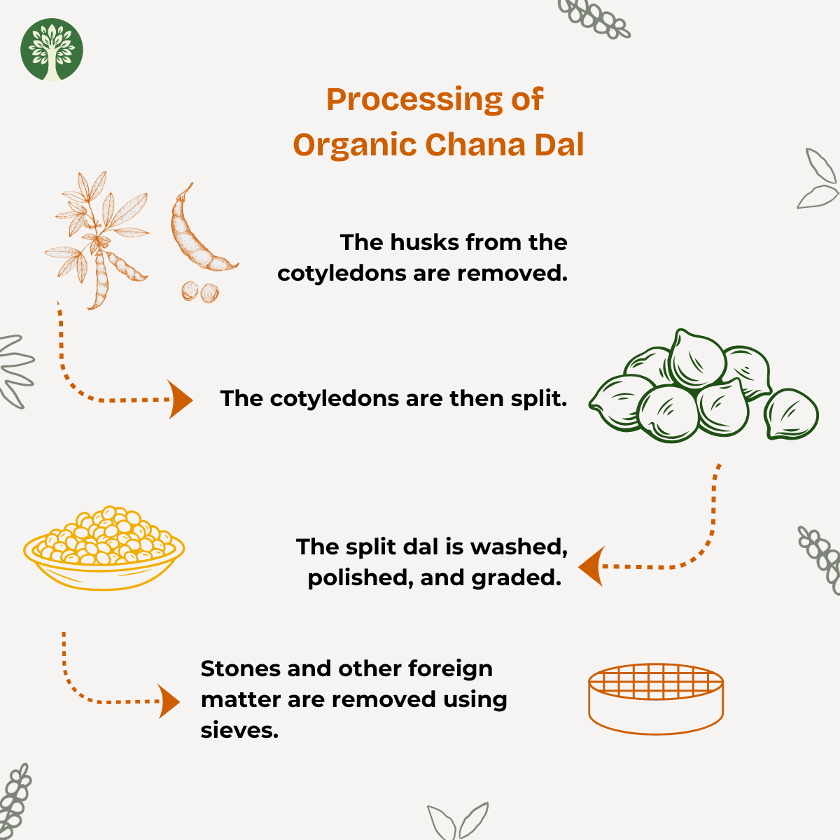 Chana Dal (Organic)
