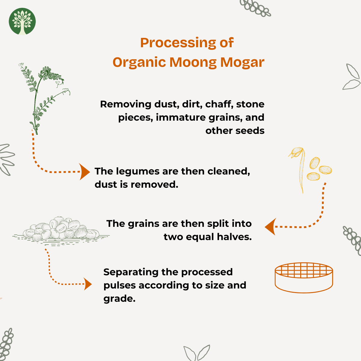 Moong Mogar (Organic)