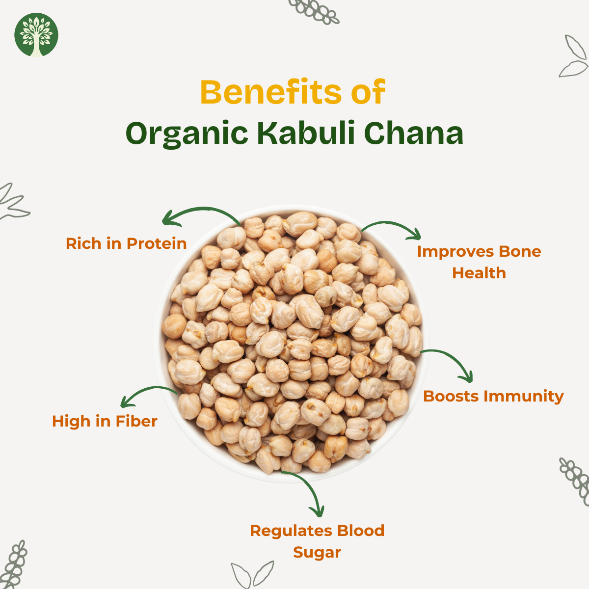 Kabuli Chan (Organic)