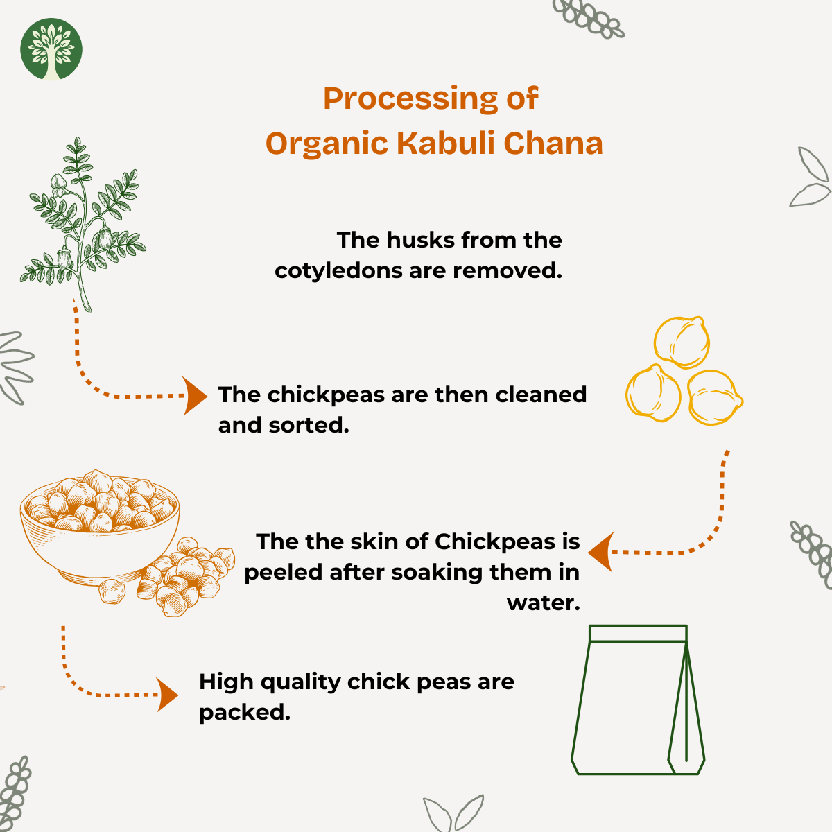 Kabuli Chan (Organic)