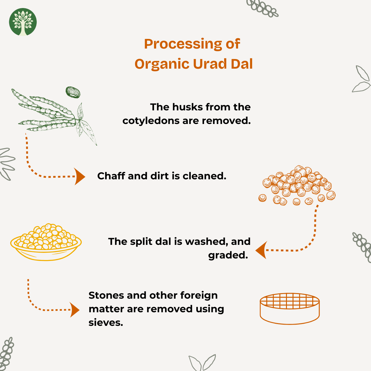 Urad Dal (Organic)