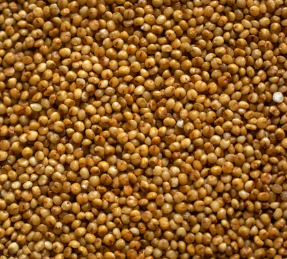 Kodo Millet