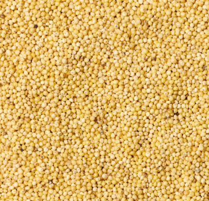 Proso Millet