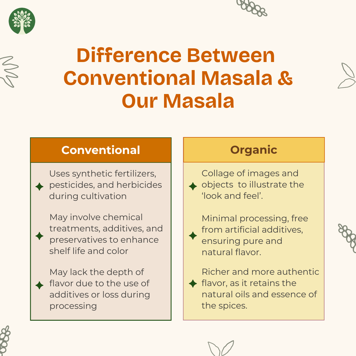 Organic Indian Curry Masala