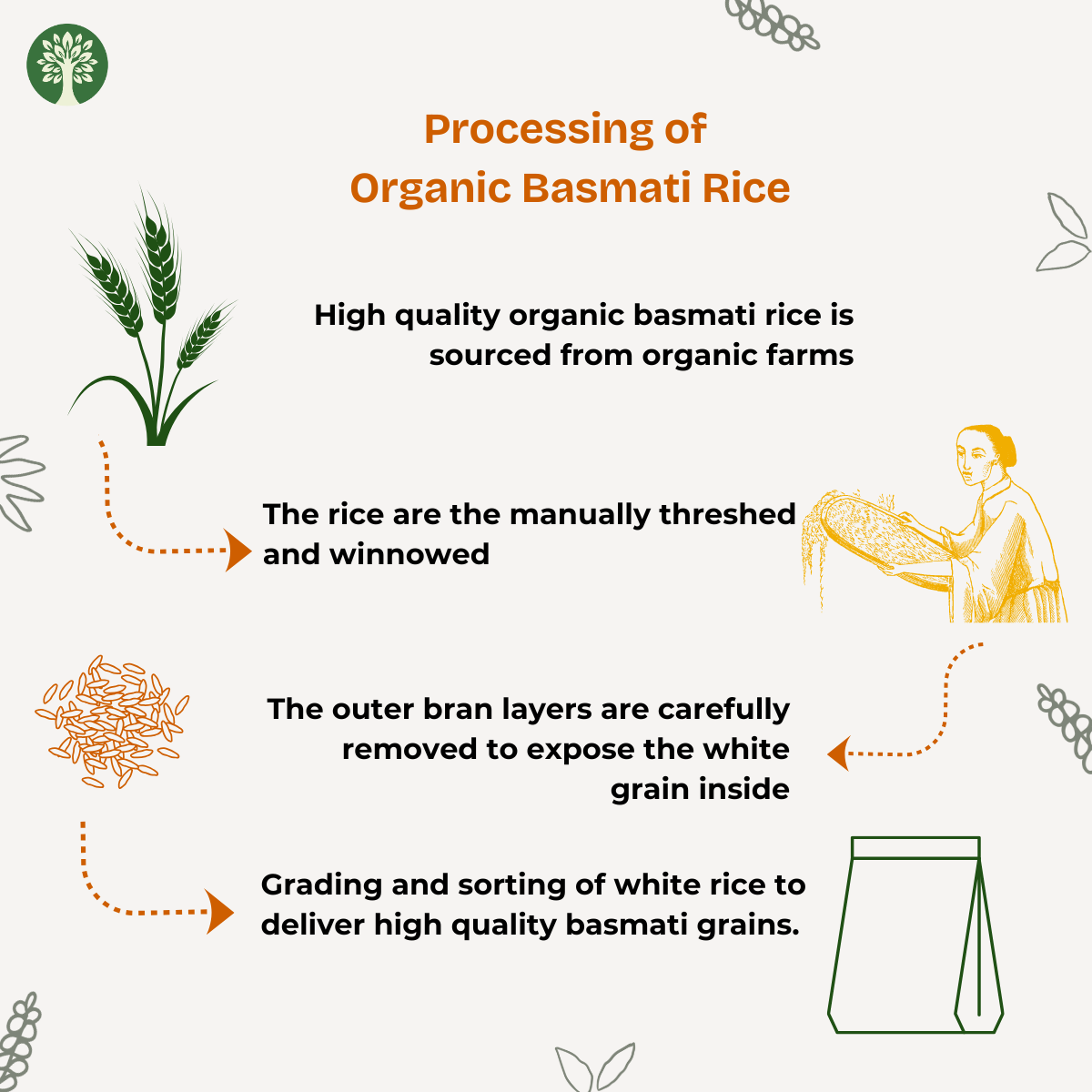 Basmati Rice (Organic)