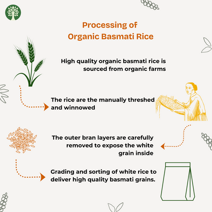 Basmati Rice (Organic)