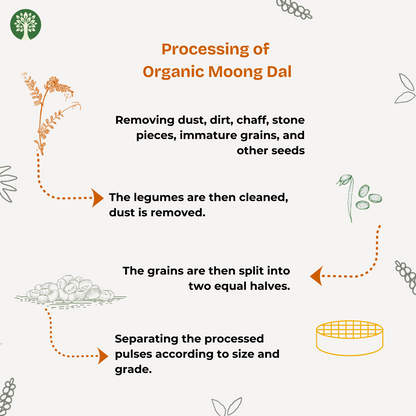 Moong Dal (Organic)