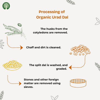 Urad Dal (Organic)