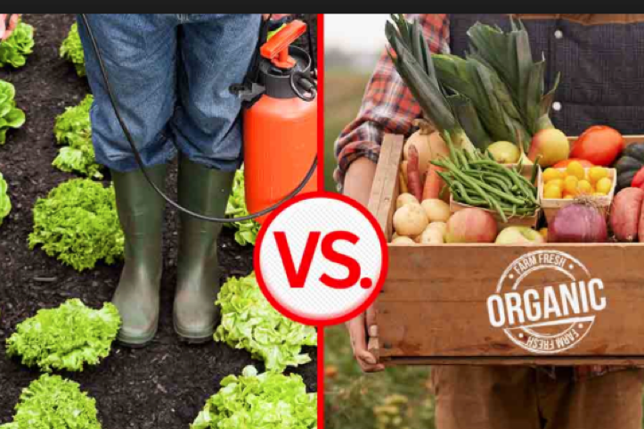 How non organic is cheaper at the cost of everything else?